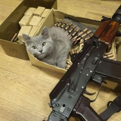 275855465_1618547045177560_4122461144001777015_n