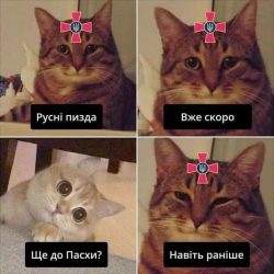 275950881_10221058348424313_2393166109705348750_n