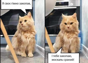 275984575_4967218969990316_6678642235600043185_n