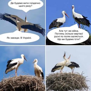 278335678_10221176480697546_632640131539499037_n