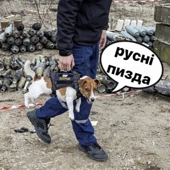 foto_2022-04-11_09-54-17